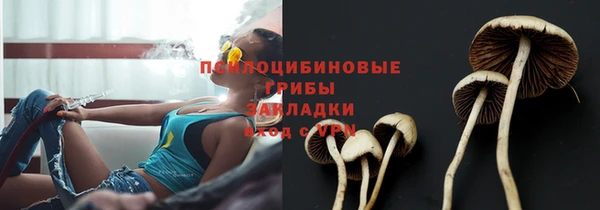 МДМА Вяземский