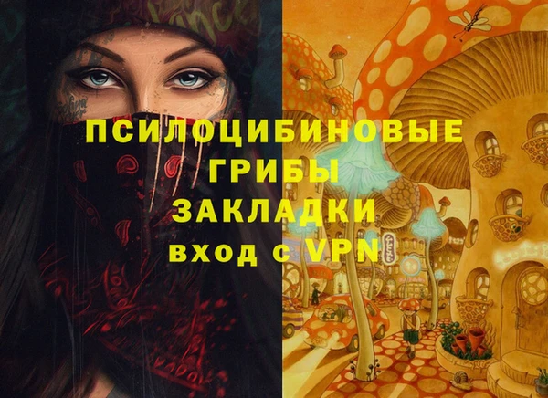 ПСИЛОЦИБИНОВЫЕ ГРИБЫ Усинск