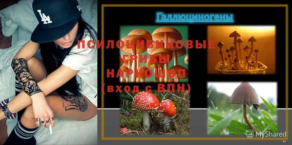 ALPHA PVP Усмань